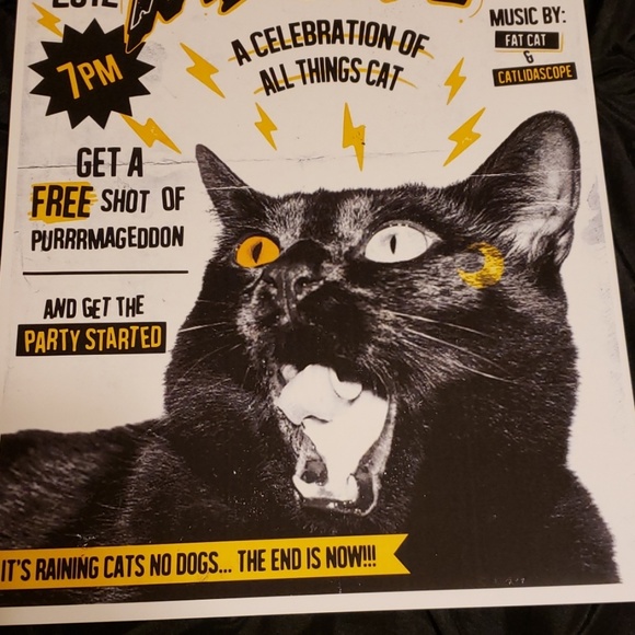 Too Fast Apocalypse Meow Black Cat Purrmagedoon 11"x17" Lithograph Art Print - Picture 5 of 5